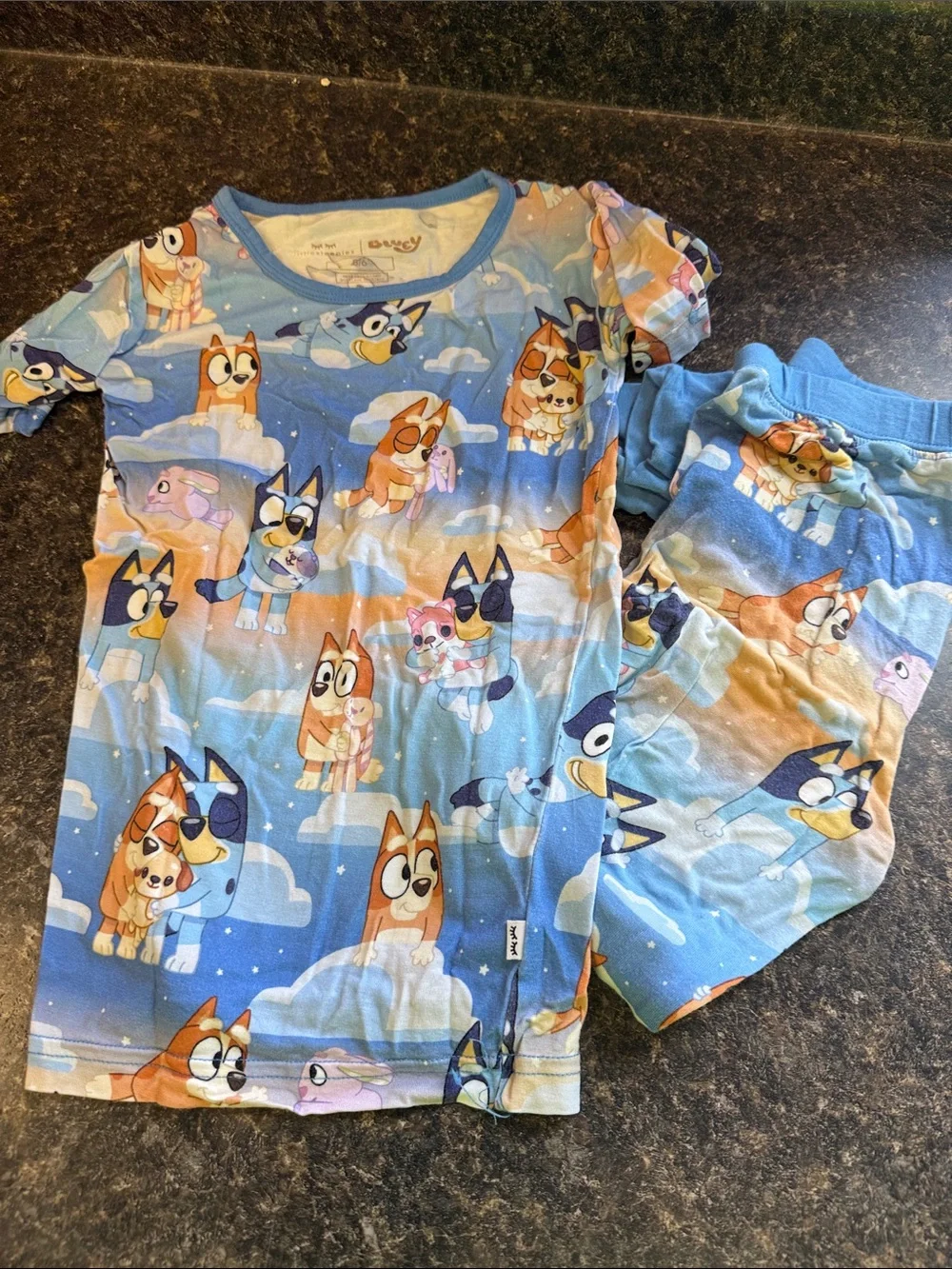 Bluey little Sleepies Cartoon Puppy Kids Pajama Set size 5/6
